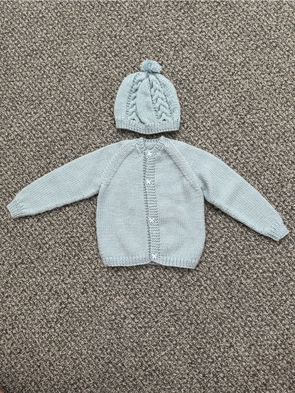 Baby Light Blue Knit Cardigan with Puppy Buttons and Hat Set (Fits 6-12m)